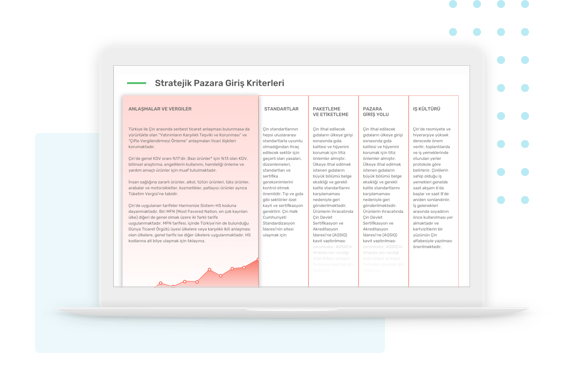 Stratejik Pazara Giriş Kriterleri
